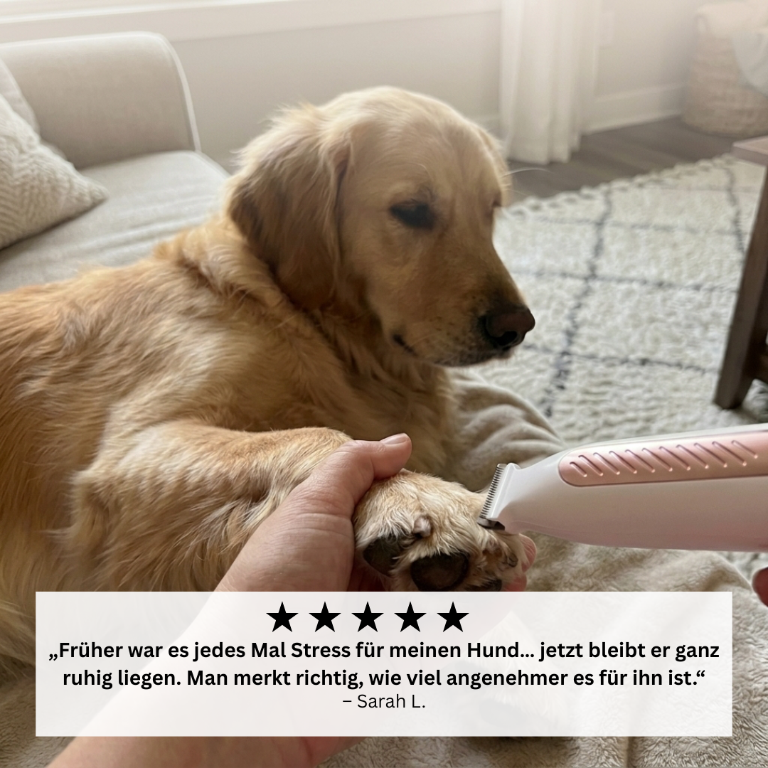 Safepaw-Pro | Pfotenpflege ohne Stress
